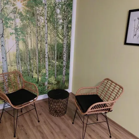 Zur Alten Werkstatt Διαμέρισμα Schwarzenberg (Saxony)